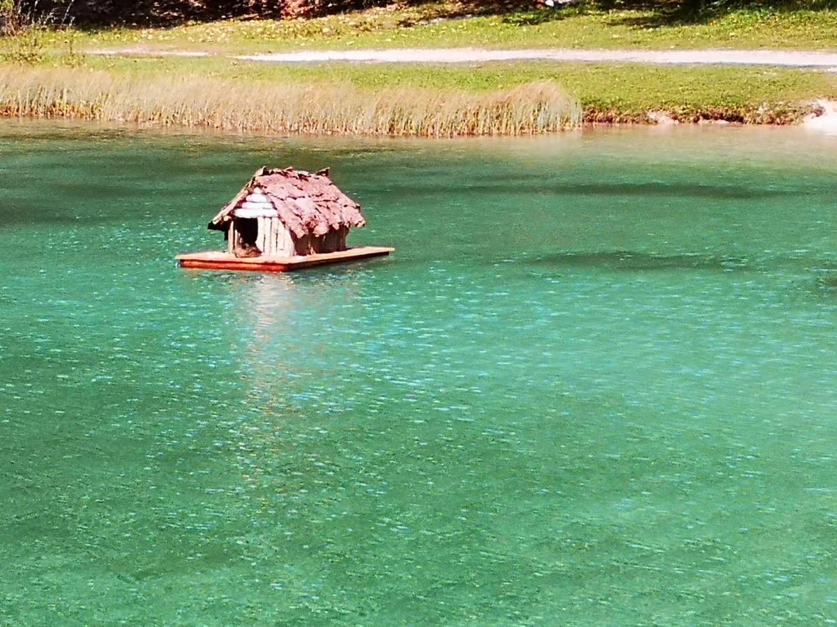 Apartment Crystal Rose Kranjska Gora Eksteriør billede