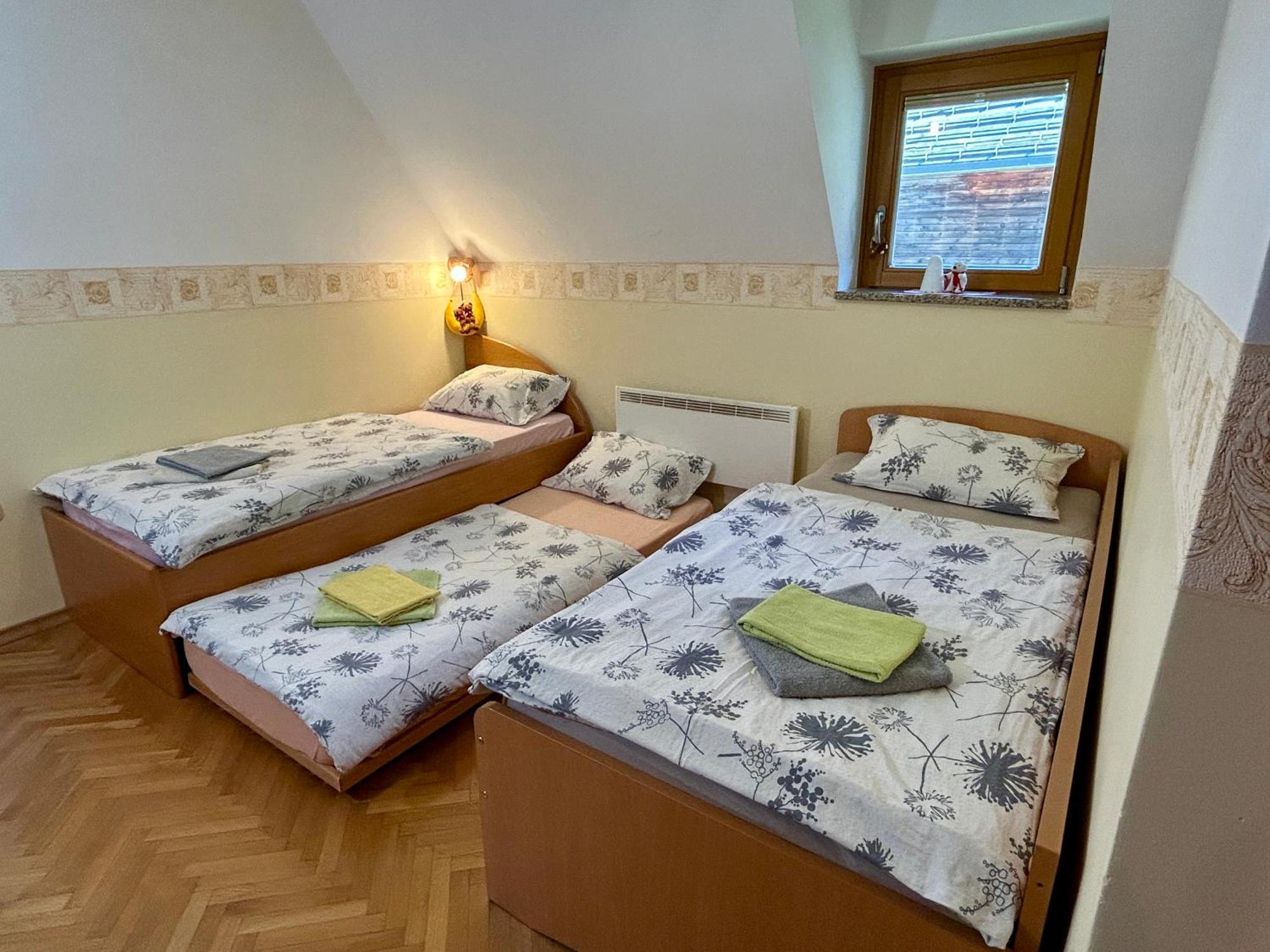 Apartment Crystal Rose Kranjska Gora Eksteriør billede