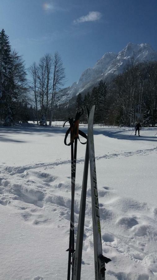 Apartment Crystal Rose Kranjska Gora Eksteriør billede